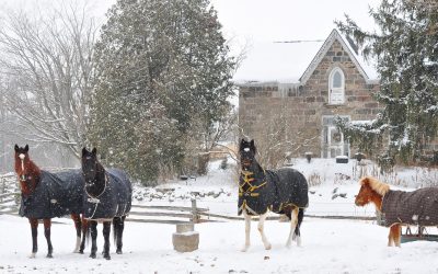 How to get the most out of your winter riding lesson session