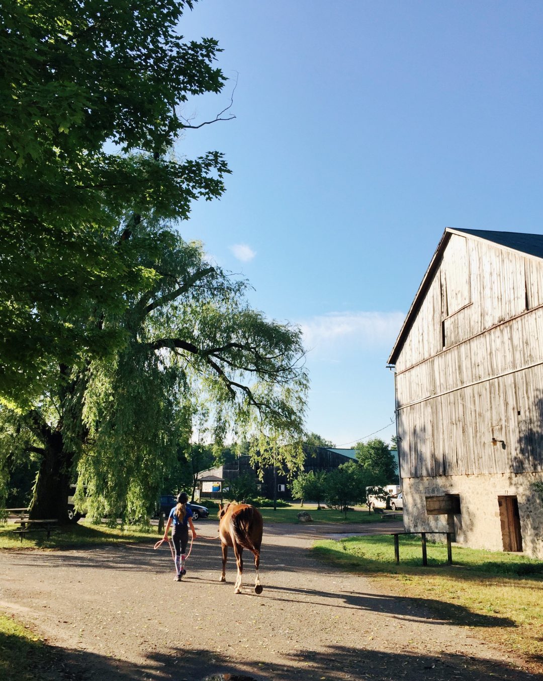 Riding Camp | Old Orchard Farm