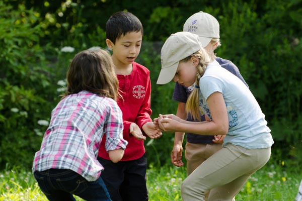 Early Bird Summer Camp Registration Now Open