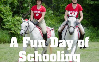 Schooling Fun Day