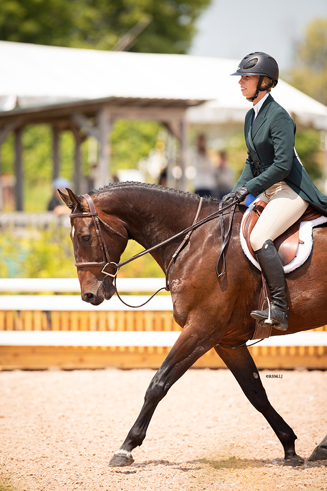 Old Orchard Farm | Hunter-Jumper Training, Boarding and Sales