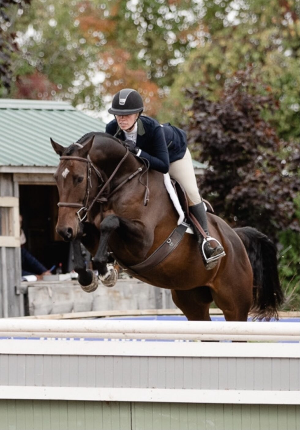 Old Orchard Farm | Hunter-Jumper Training, Boarding and Sales