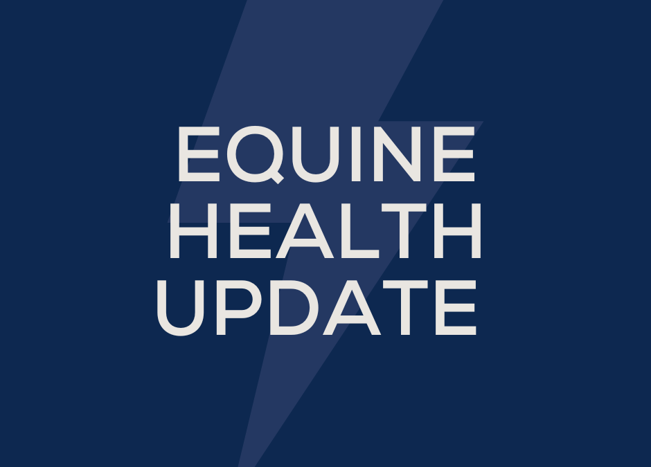 July 12 – Equine Health Update