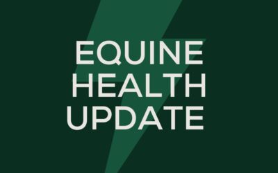 August 3rd – Equine Health Update – Good News!