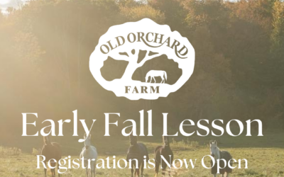 Registration is Now Open for Our Early Fall 2024 Lesson Session